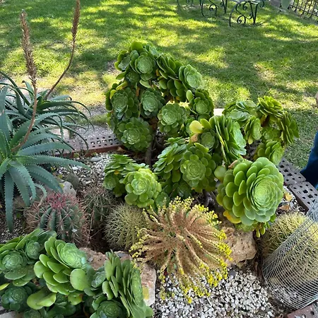 Roccia Scura Dell'etna Holiday home Zafferana Etnea