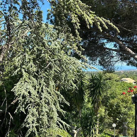 Roccia Scura Dell'etna * Zafferana Etnea